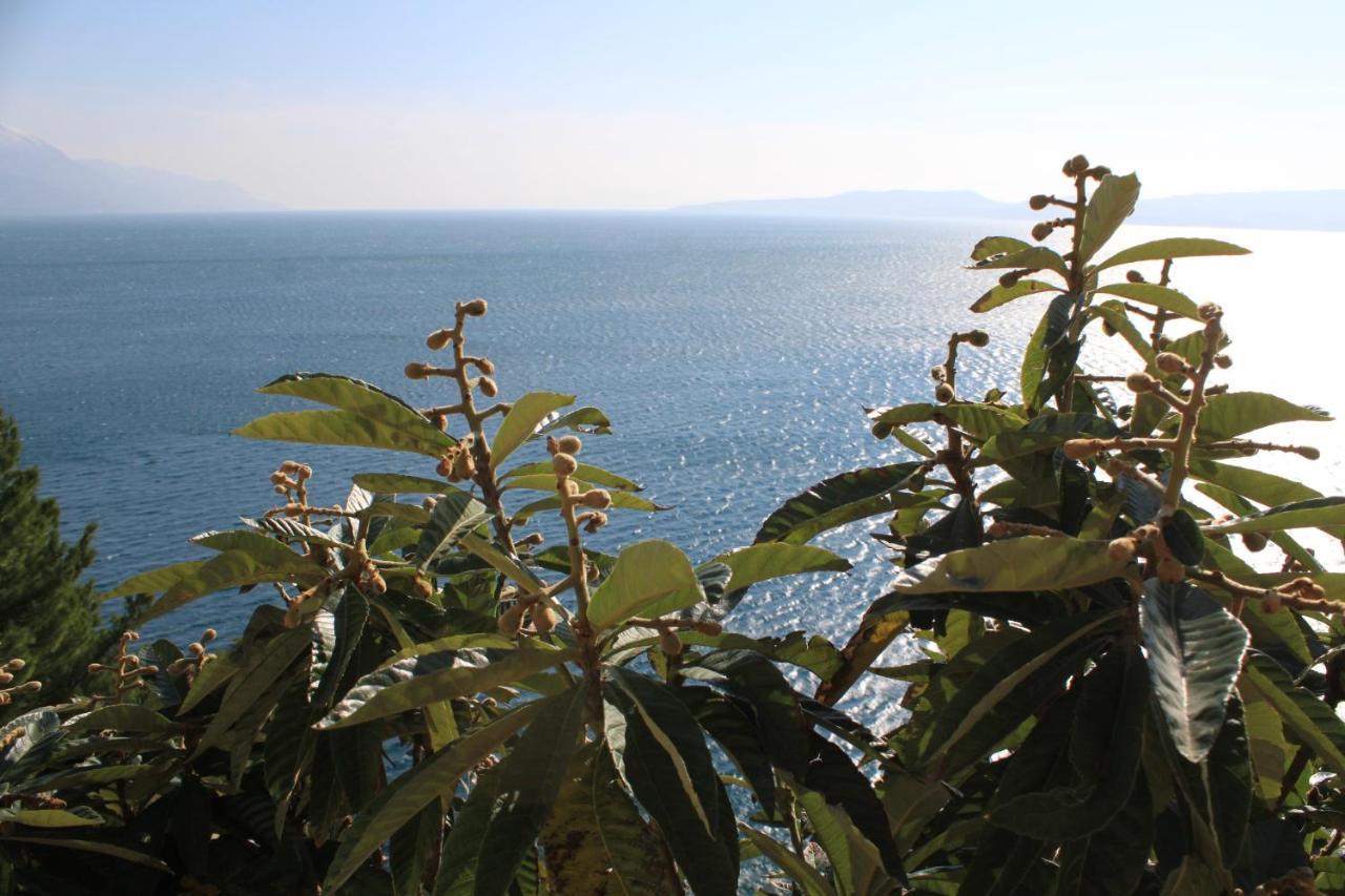 Apartments By The Sea Marusici, Omis - 8632 มีมิตเซ ภายนอก รูปภาพ